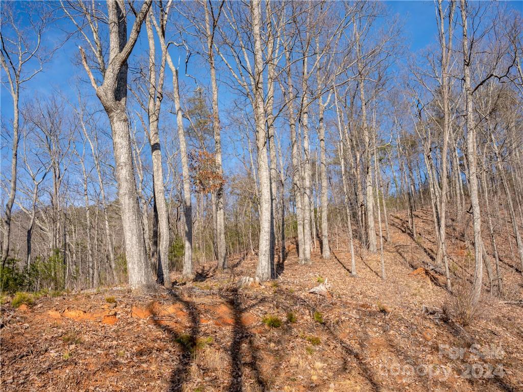 00 Rock Ledge Drive 223