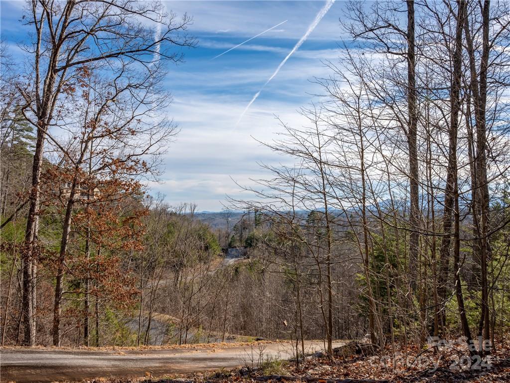 Vista at Bills Mountain - Land