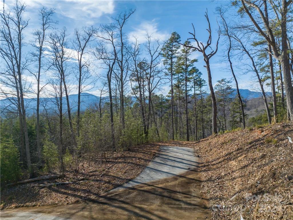 Vista at Bills Mountain - Land