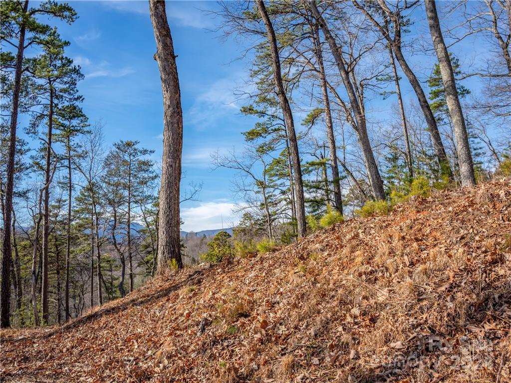 00 Rock Ledge Drive 223