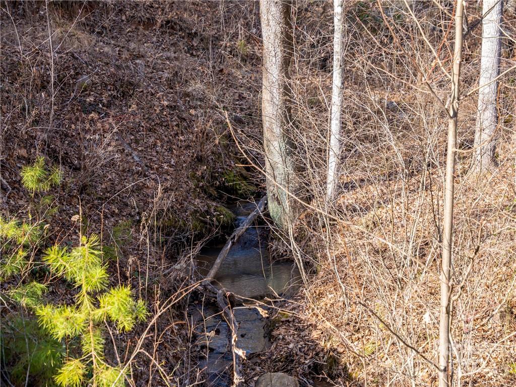 Vista at Bills Mountain - Land