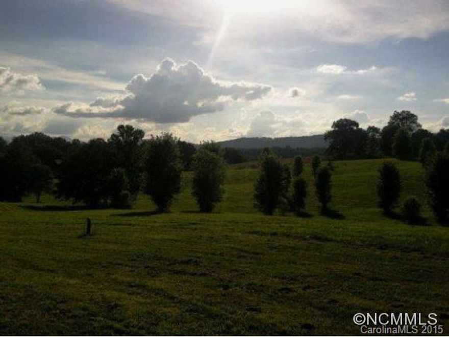 Must see level lot in gated community with long range mountain views! Gorgeous building lot in desirable Cane Creek Valley. Last remaining level building lot in gated development. Long range mountain view. 4-bedroom septic on file, underground utilities, city water. Owner/Agent. Taxes TBD.