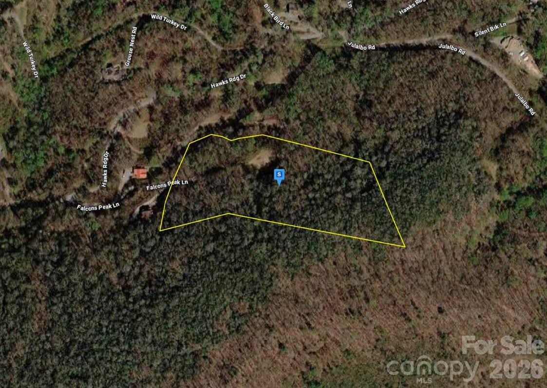 4 Falcons Peak Lane, Whittier, NC, 28789