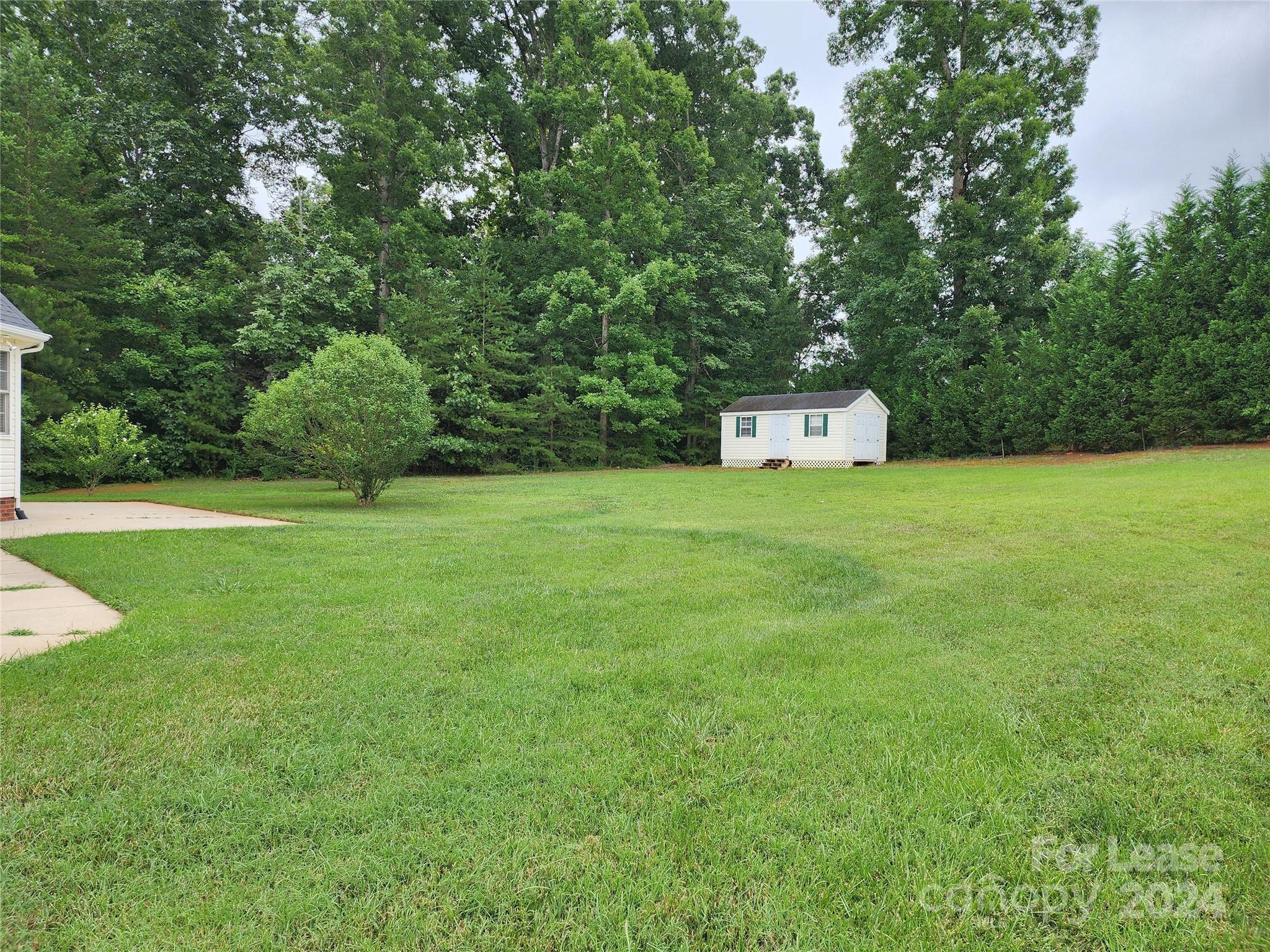 None - Residential Lease
