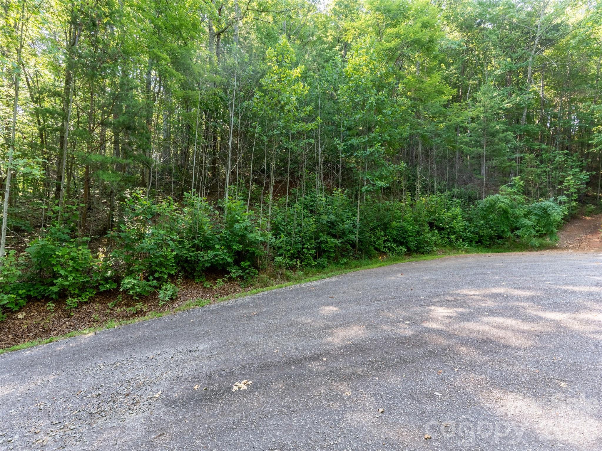 00 Rhododendron Drive 15 & 16