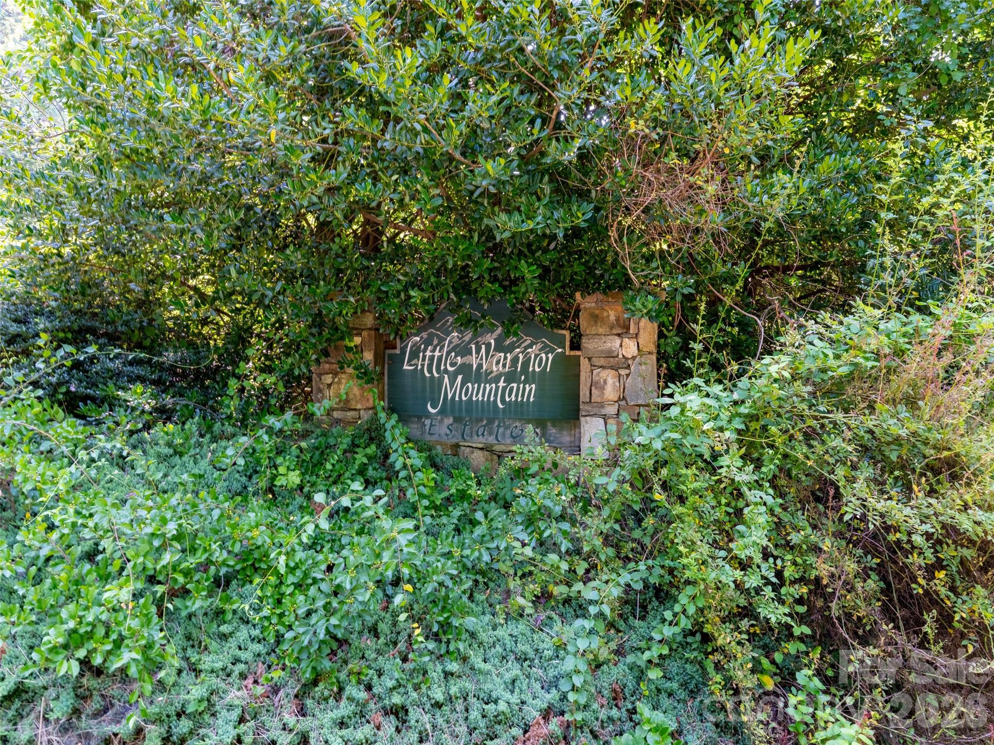 00 Rhododendron Drive Unit 15 & 16, Saluda, NC, 28773