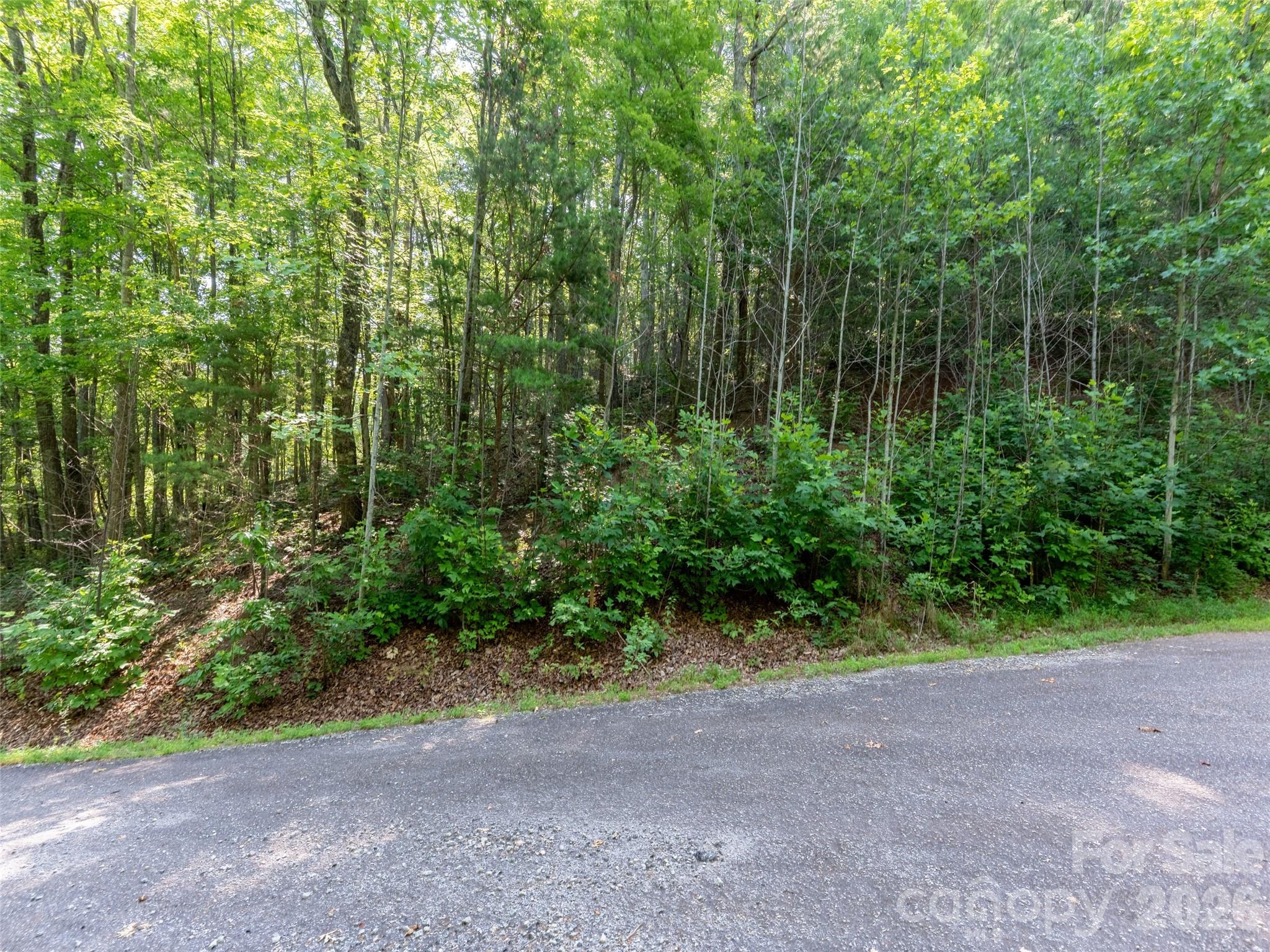 00 Rhododendron Drive 15 & 16
