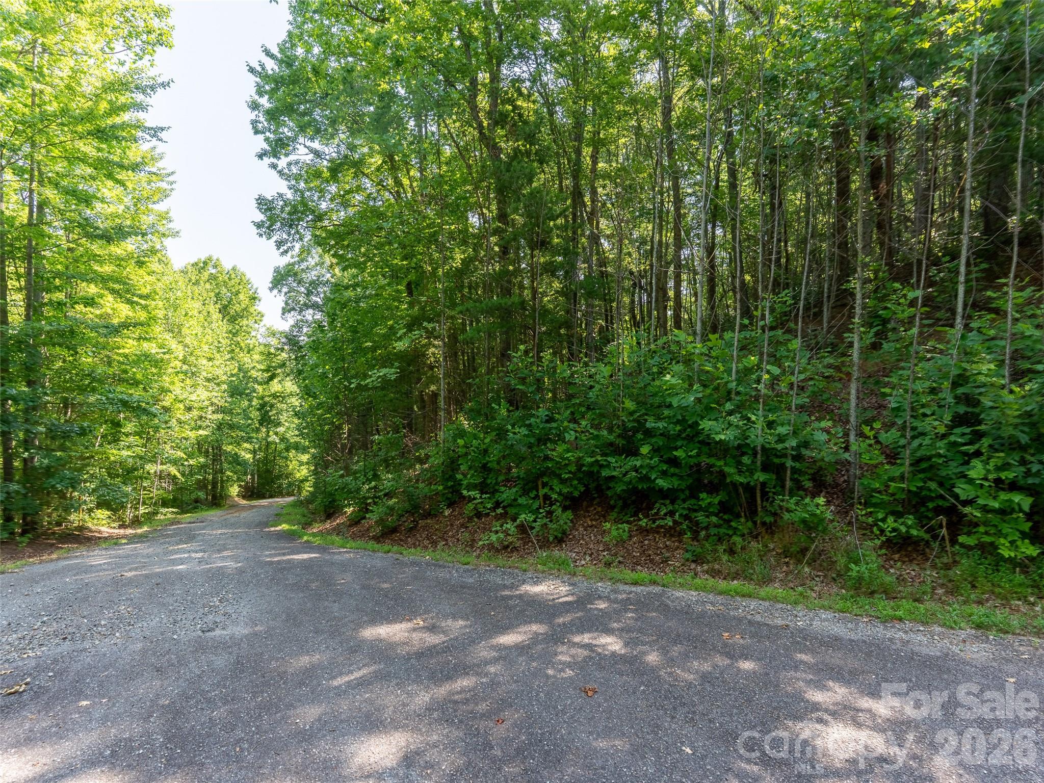 00 Rhododendron Drive 15 & 16