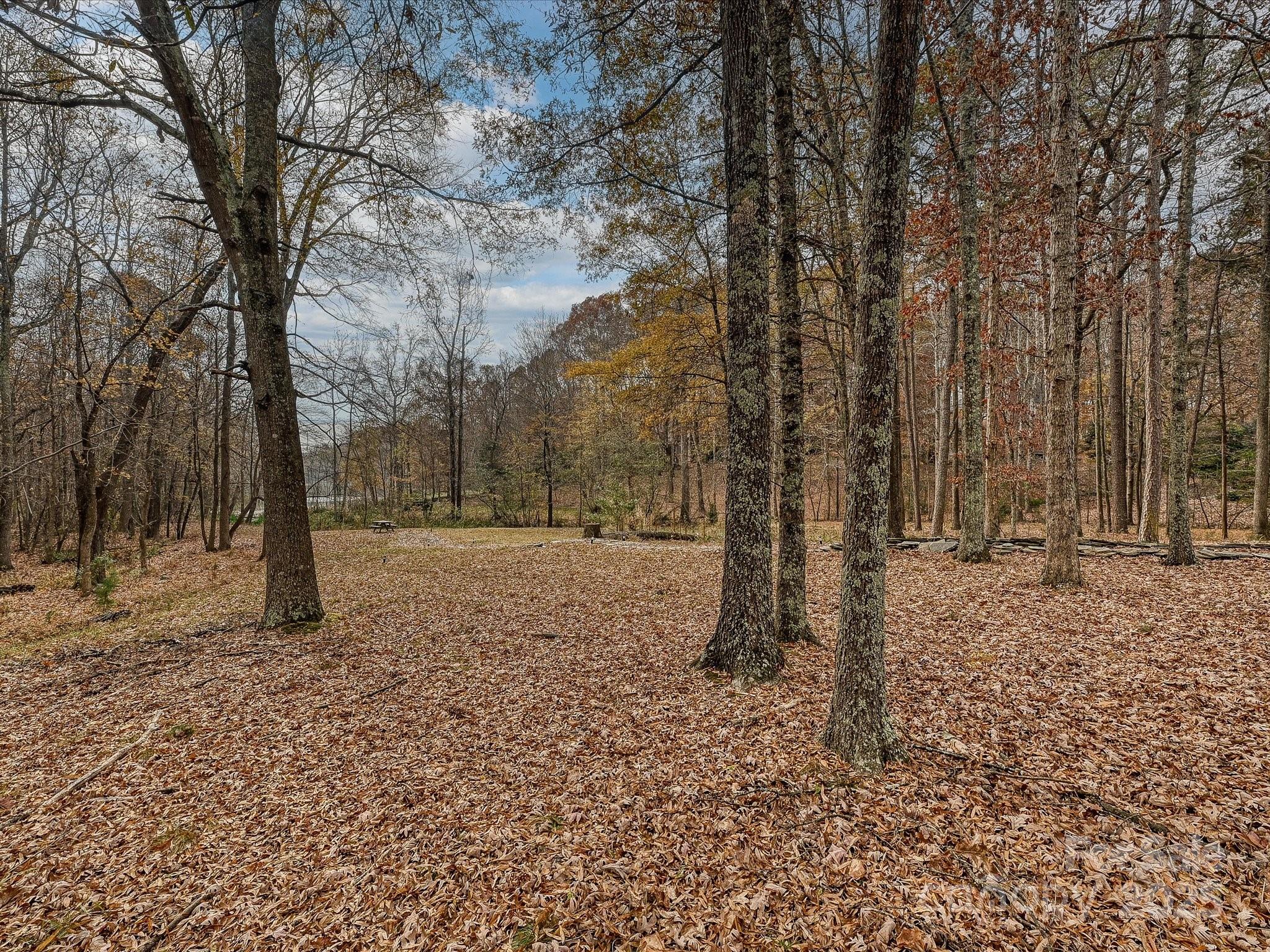 Walden Pond - Residential