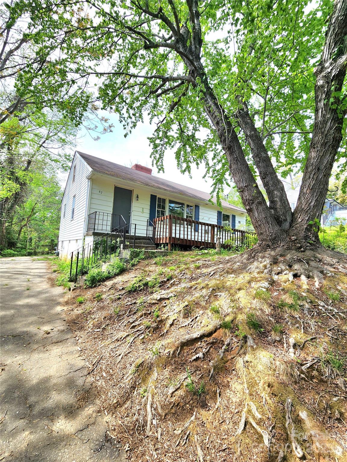 47 Gladstone Road