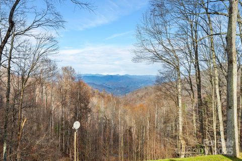 2650 Secluded Valley Road Marshall NC 28753