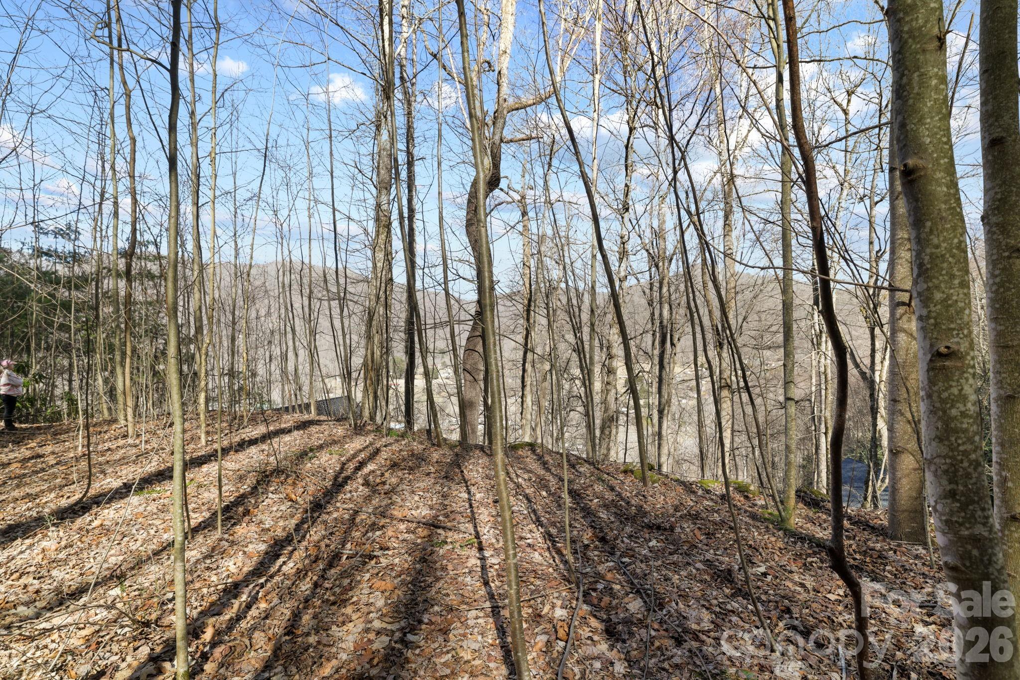 Maggie Valley Estates - Land