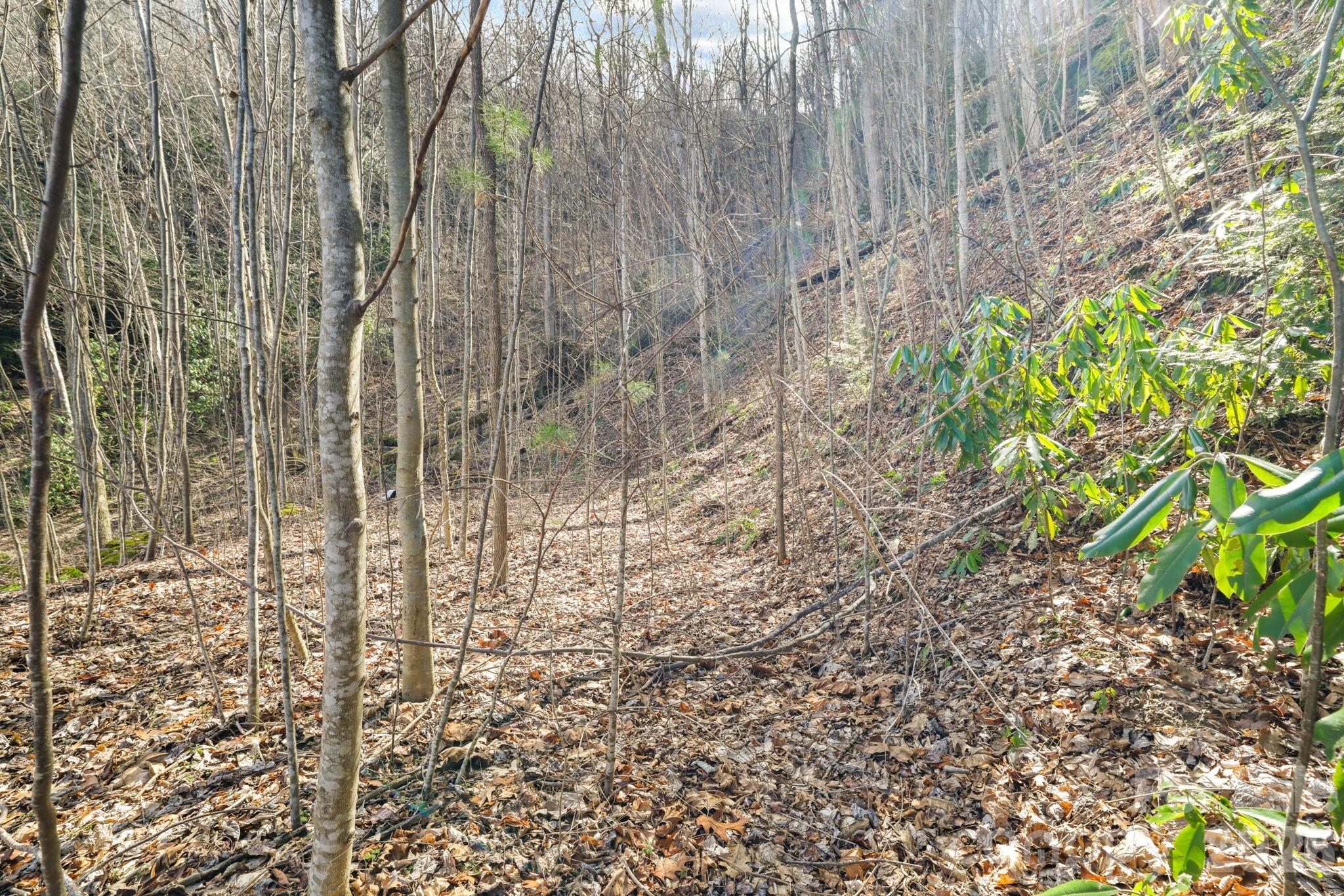 Maggie Valley Estates - Land