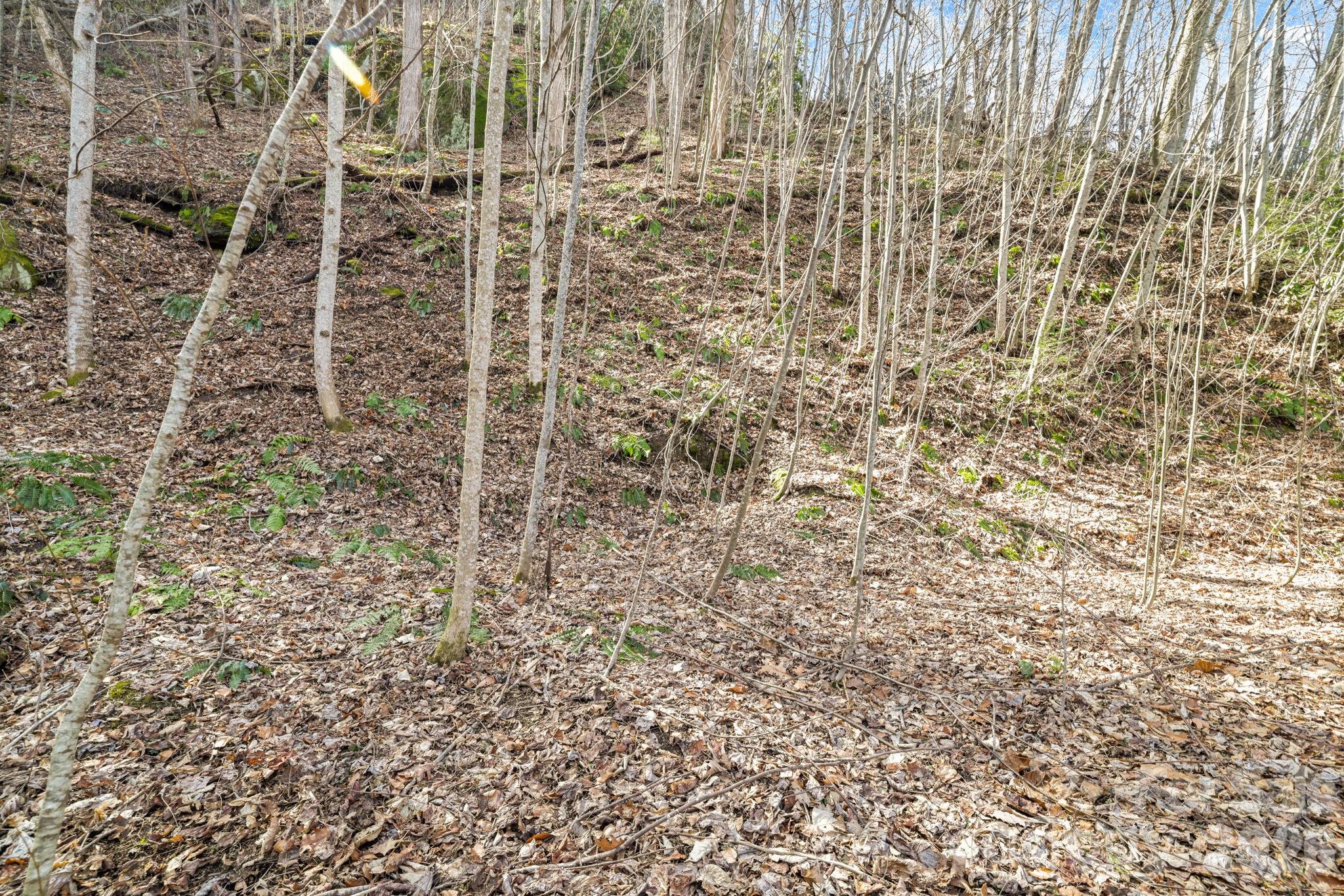 Maggie Valley Estates - Land