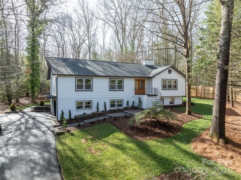 8 Spring Lake Drive Mills River NC 28759