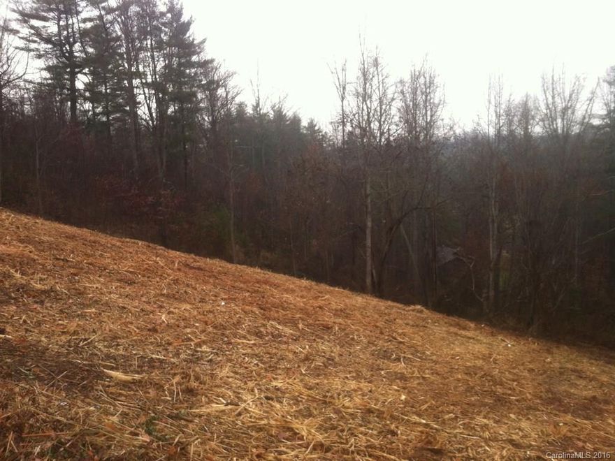 Large lot in nice, quiet neighborhood close to downtown Weaverville....mountain views.