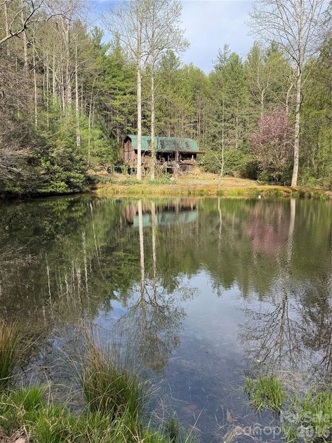 Photo of 451 Signal Tree Road, Deep Gap, NC 28618 (MLS # 4374563)