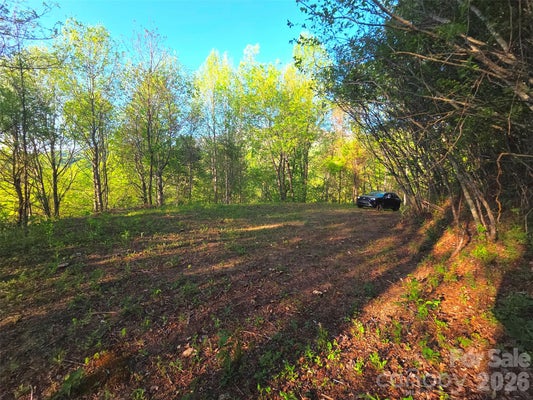 157 TURTLE CREEK LN, WAYNESVILLE, NC 28785 - Image fe75b603bfe06a86fcd6daa605d017cf/4239095296