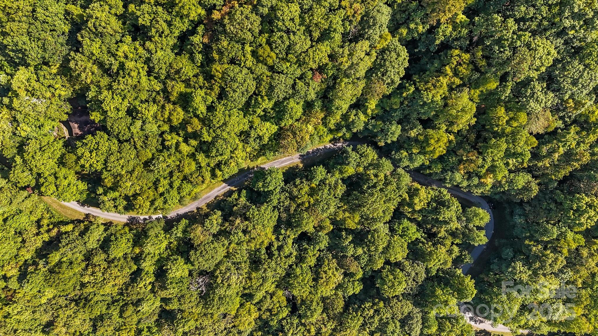 Brush Creek Properties - Land