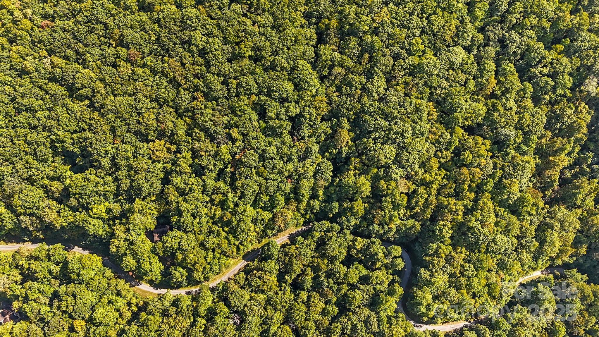 Brush Creek Properties - Land