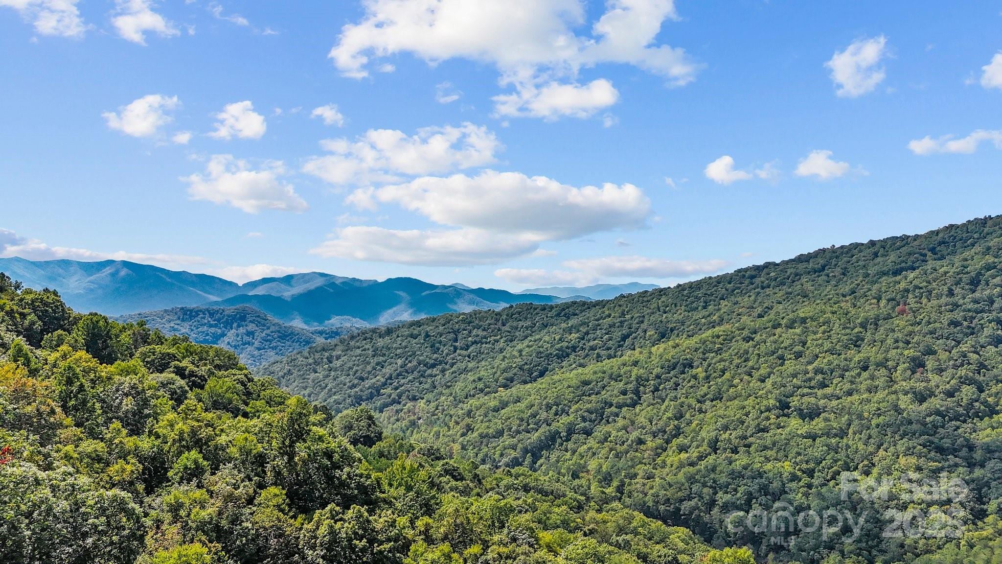 Brush Creek Properties - Land