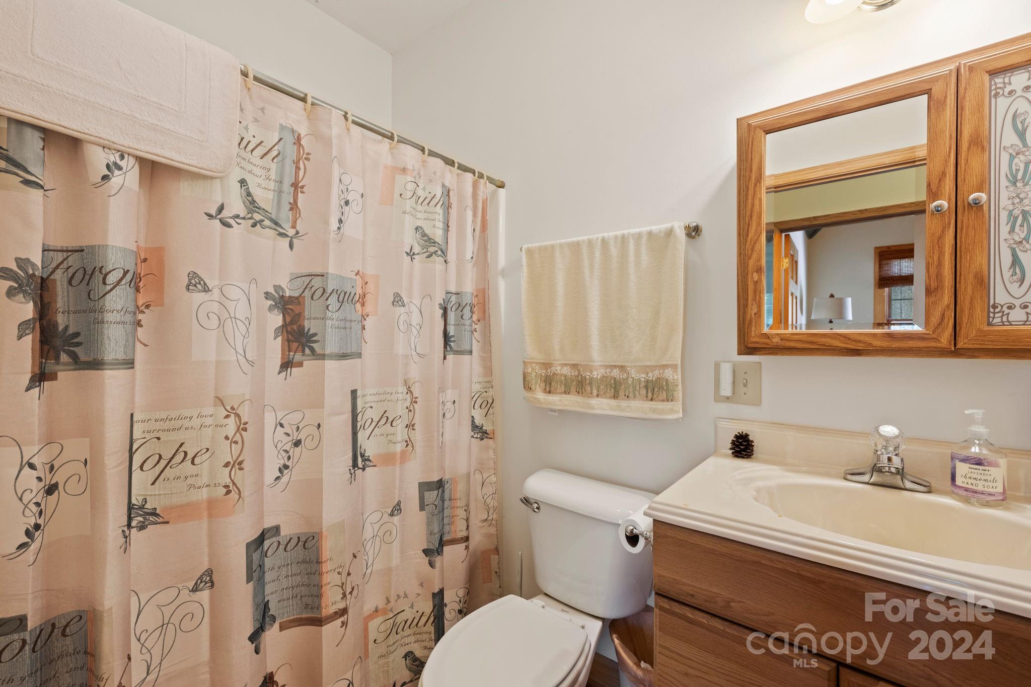 Junaluska Meadows - Residential