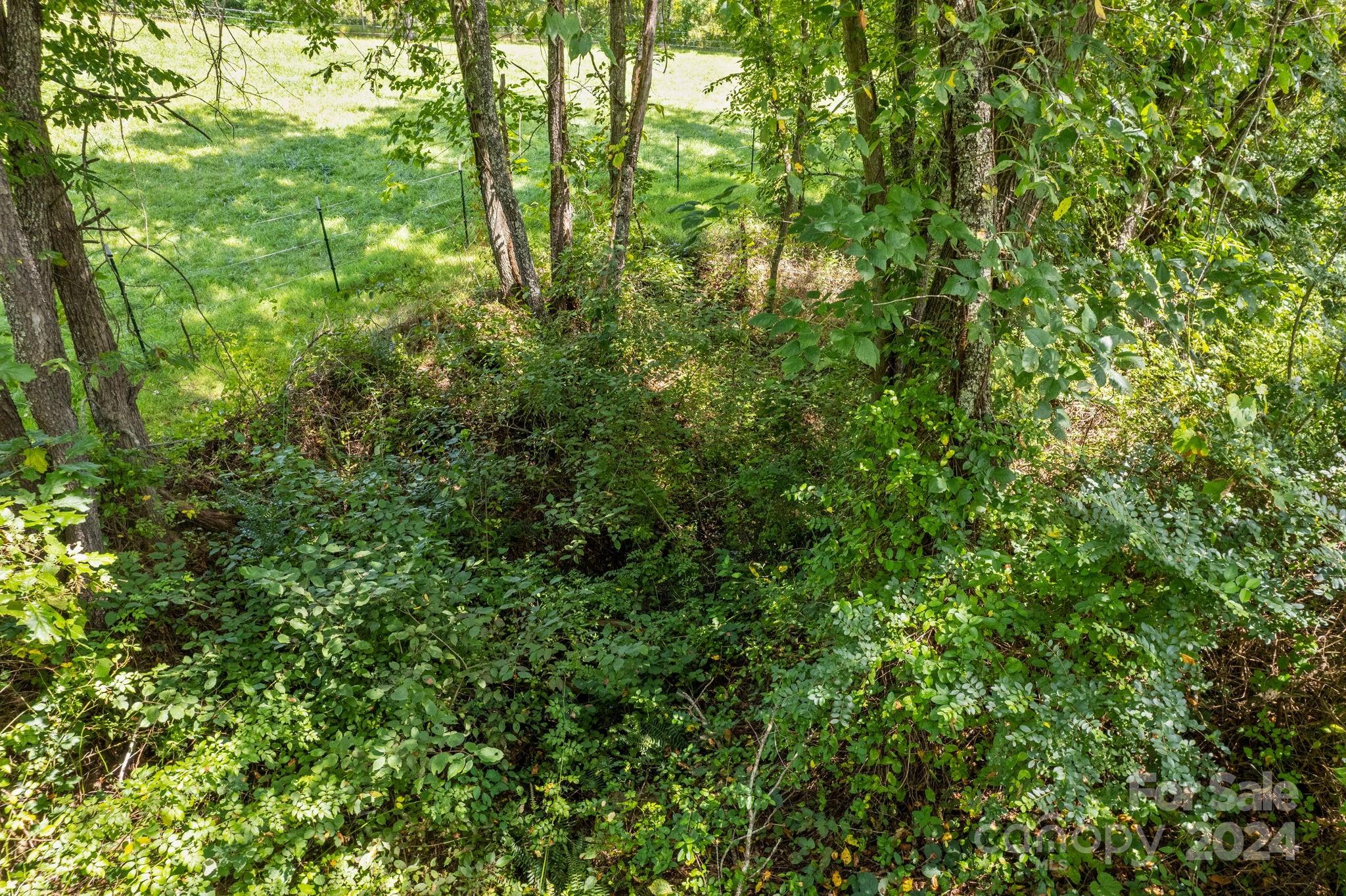 Junaluska Meadows - Residential