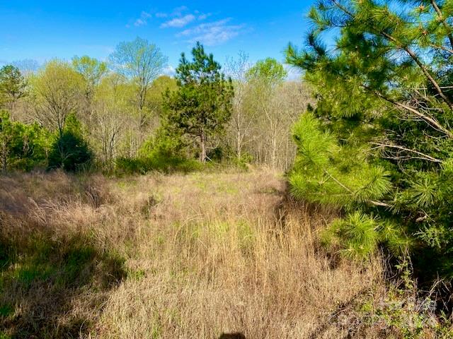 2225 Mount Gallant Road