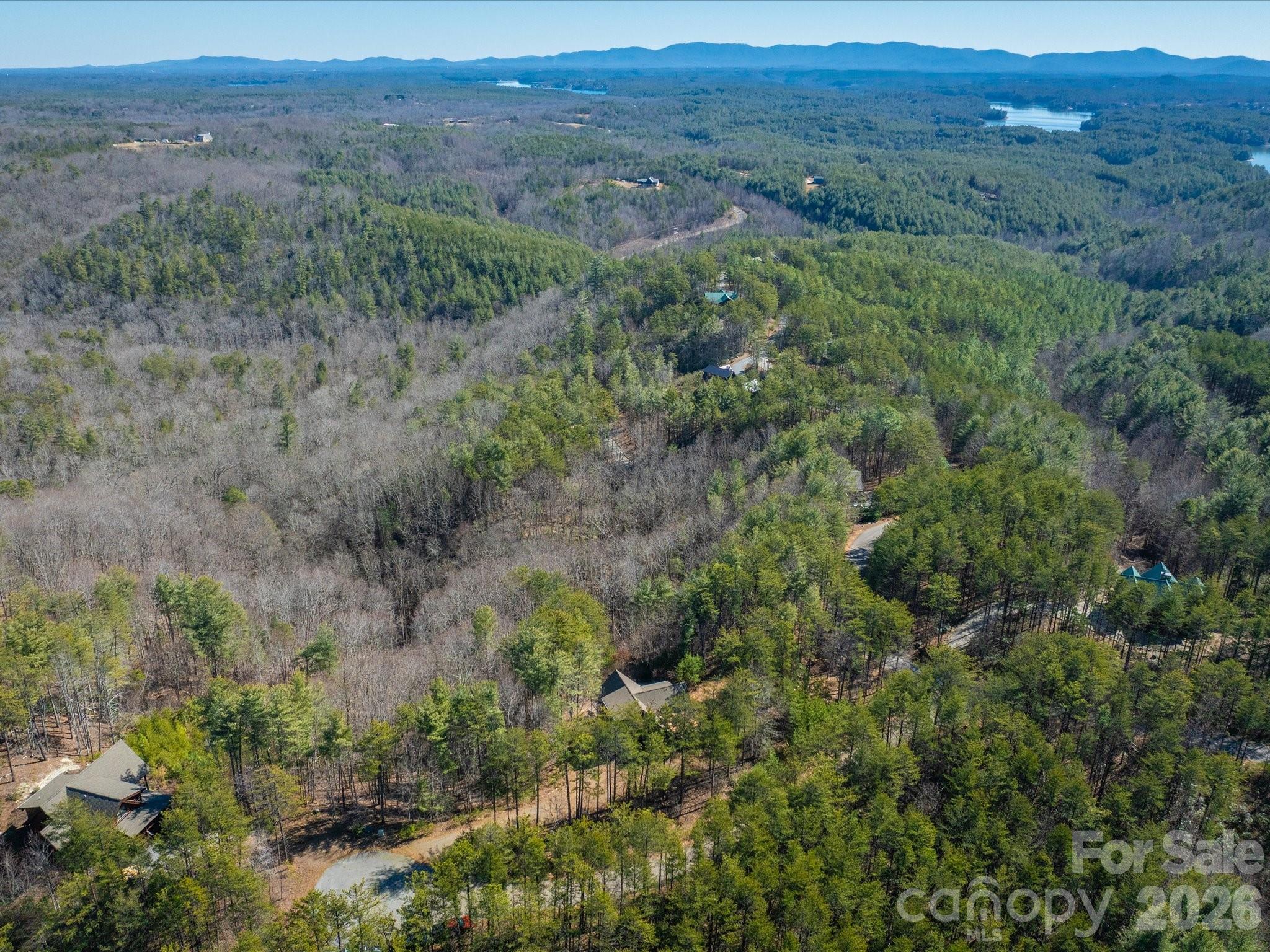 Pisgah Preserve - Residential