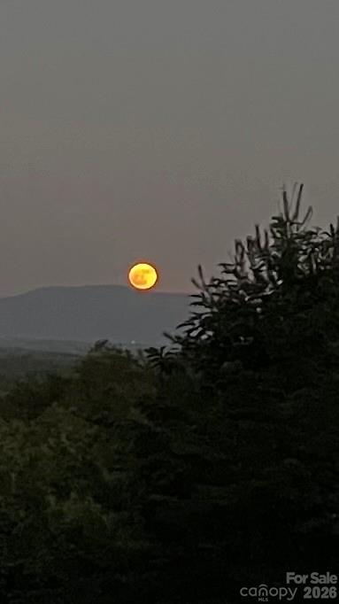 Pisgah Preserve - Residential