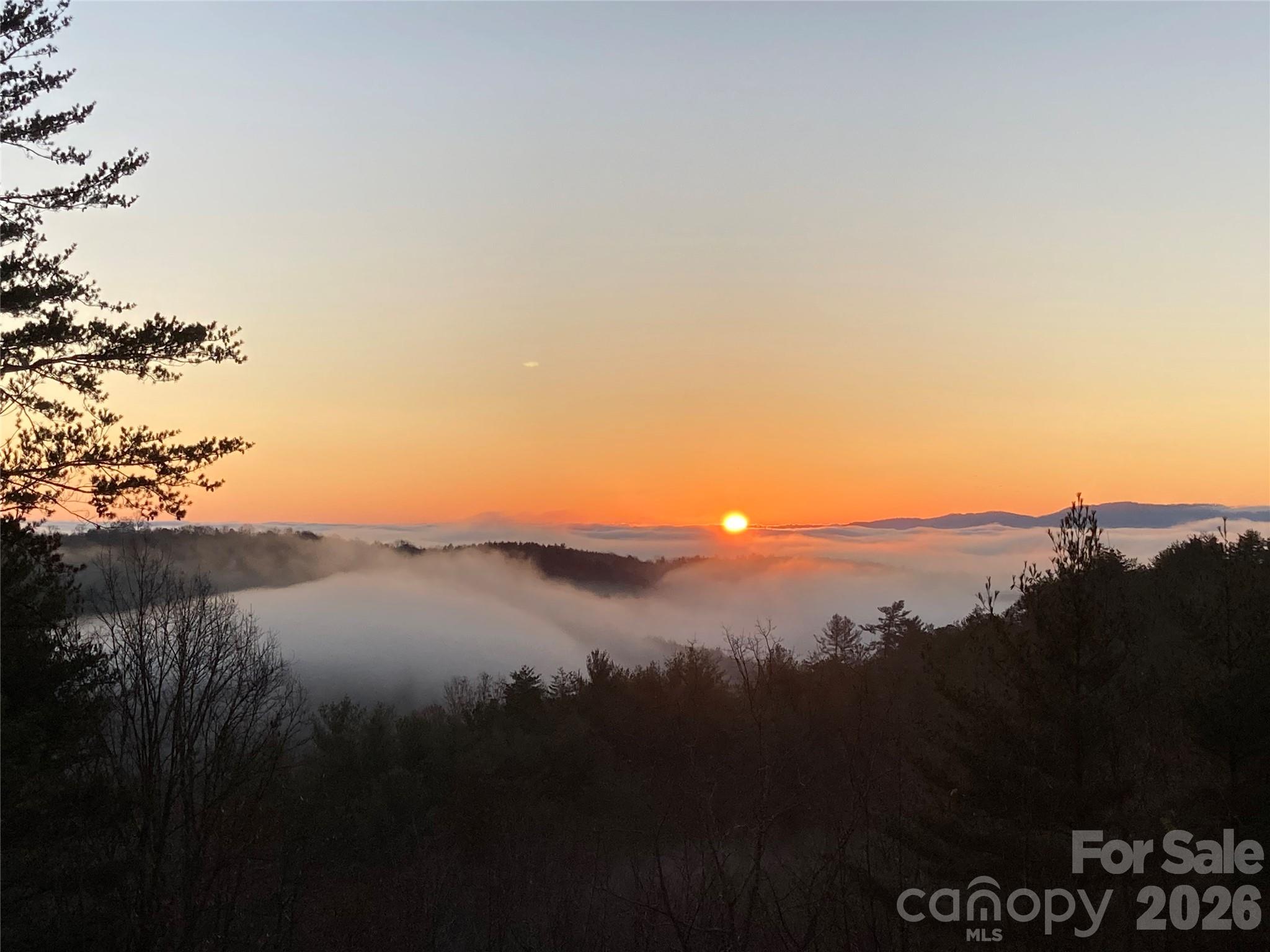 Pisgah Preserve - Residential