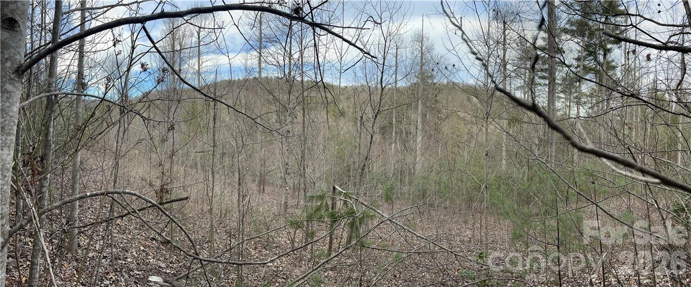 Pinnacle Falls - Land