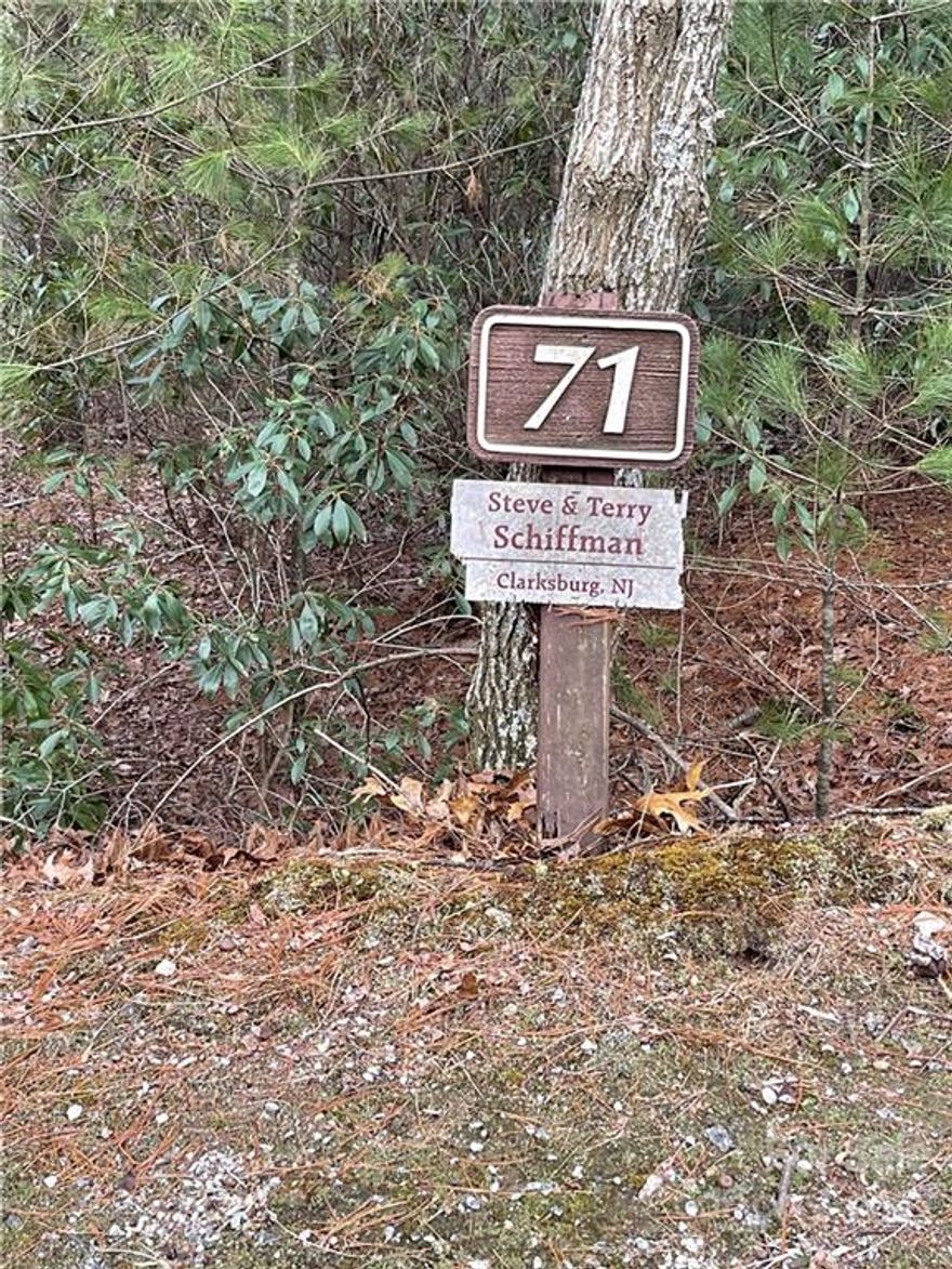 Welcome to 55 Boone Cove Road! This beautiful property is located in the pristine Pinnacle Falls community of Zirconia. The neighborhood features hiking trails, waterfalls, a community clubhouse and relaxing pool; making this the perfect place for your next home. Amazing views of the mountains and nature at it's finest await! Come see it today!