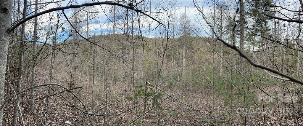 Pinnacle Falls - Land