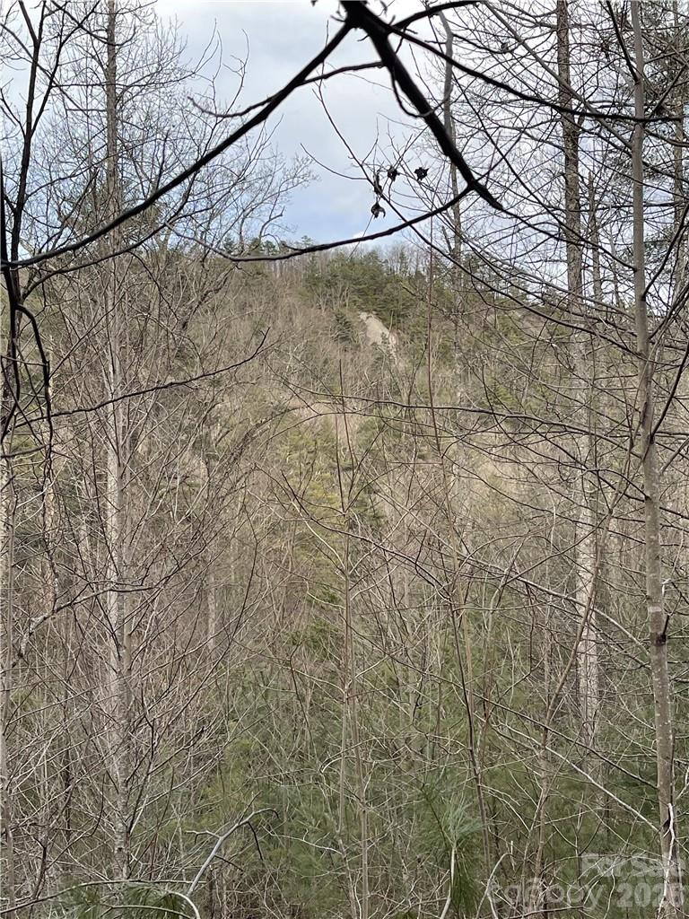 Pinnacle Falls - Land