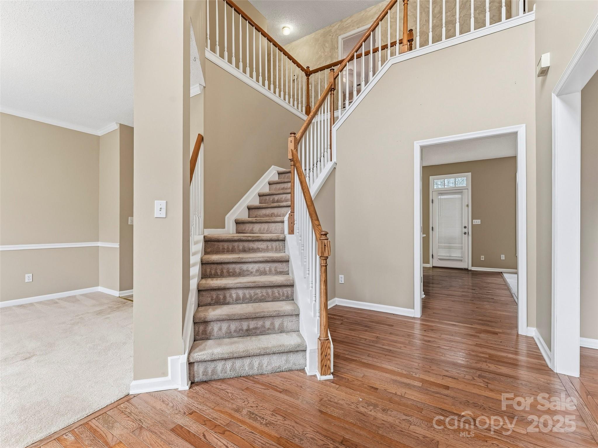 613 Carolina Holly Way