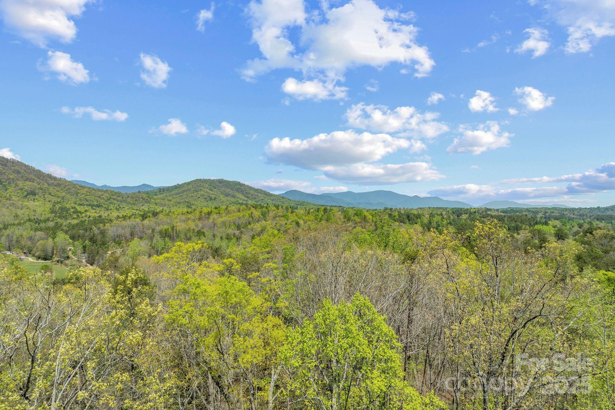 2517 Pine Cove Road