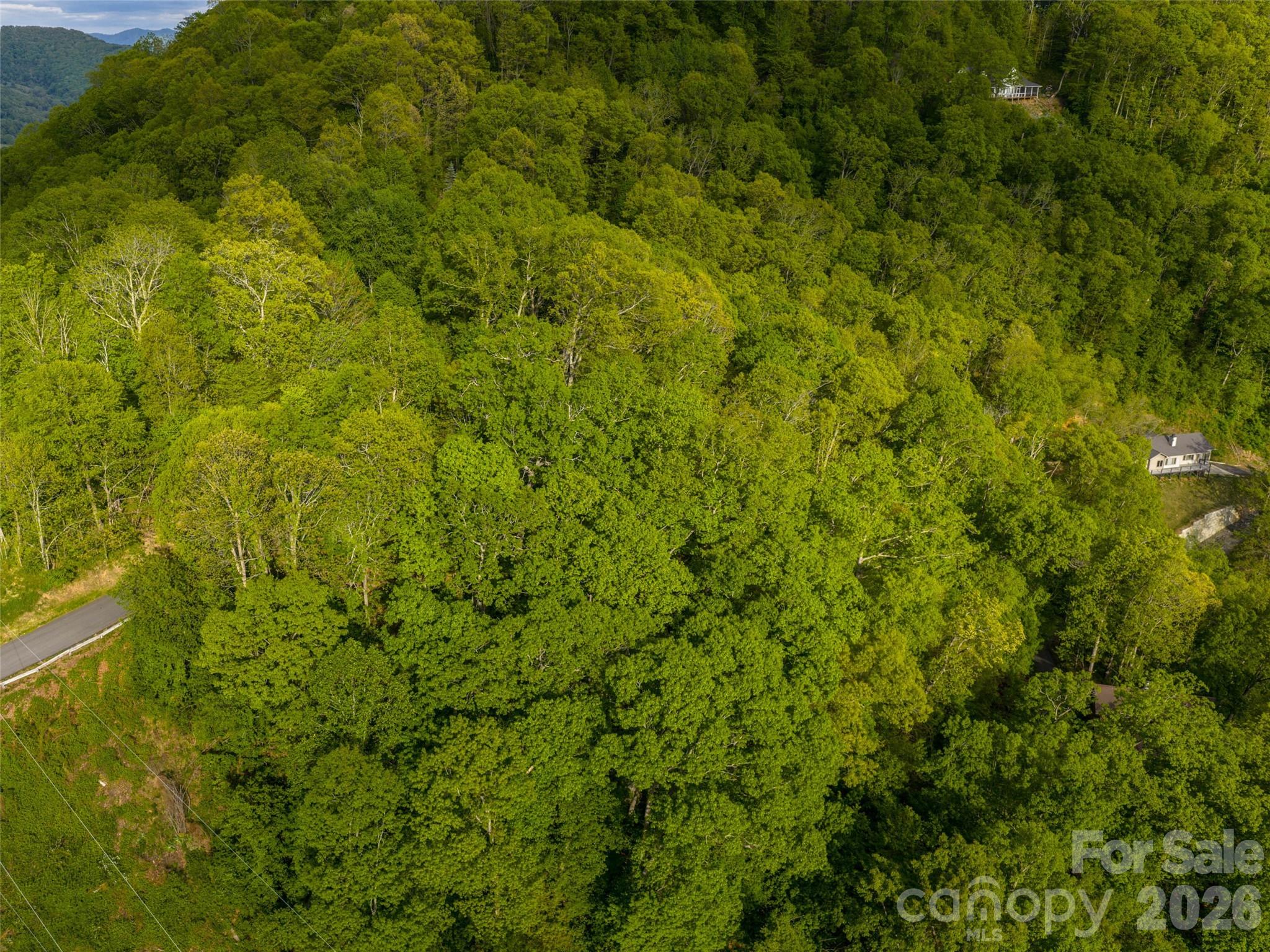 Junaluska Highlands - Land