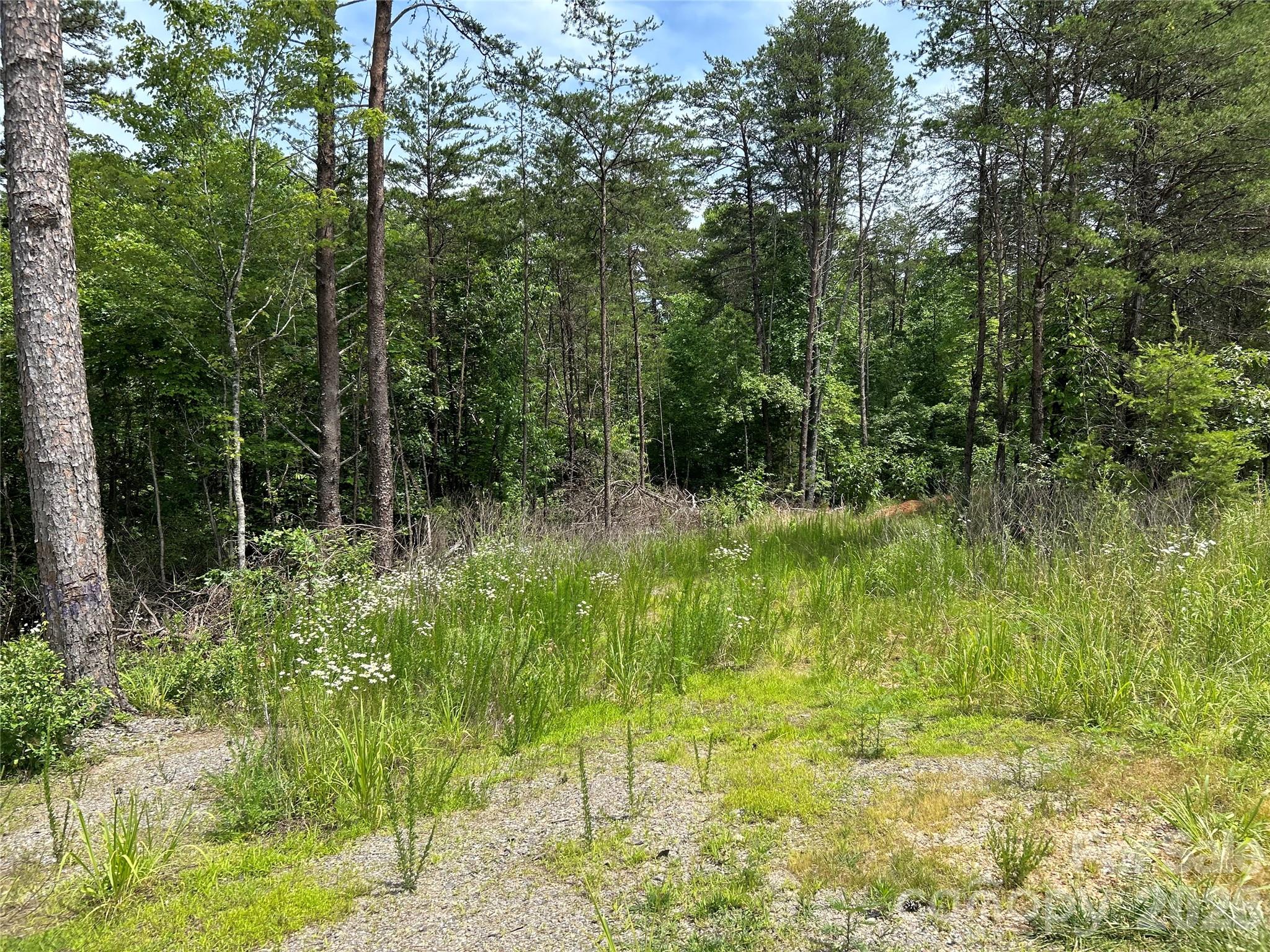 Paradise Acres - Land