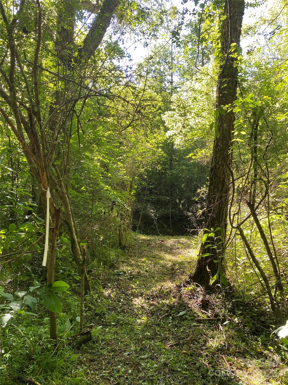 0 Old Morganton Road