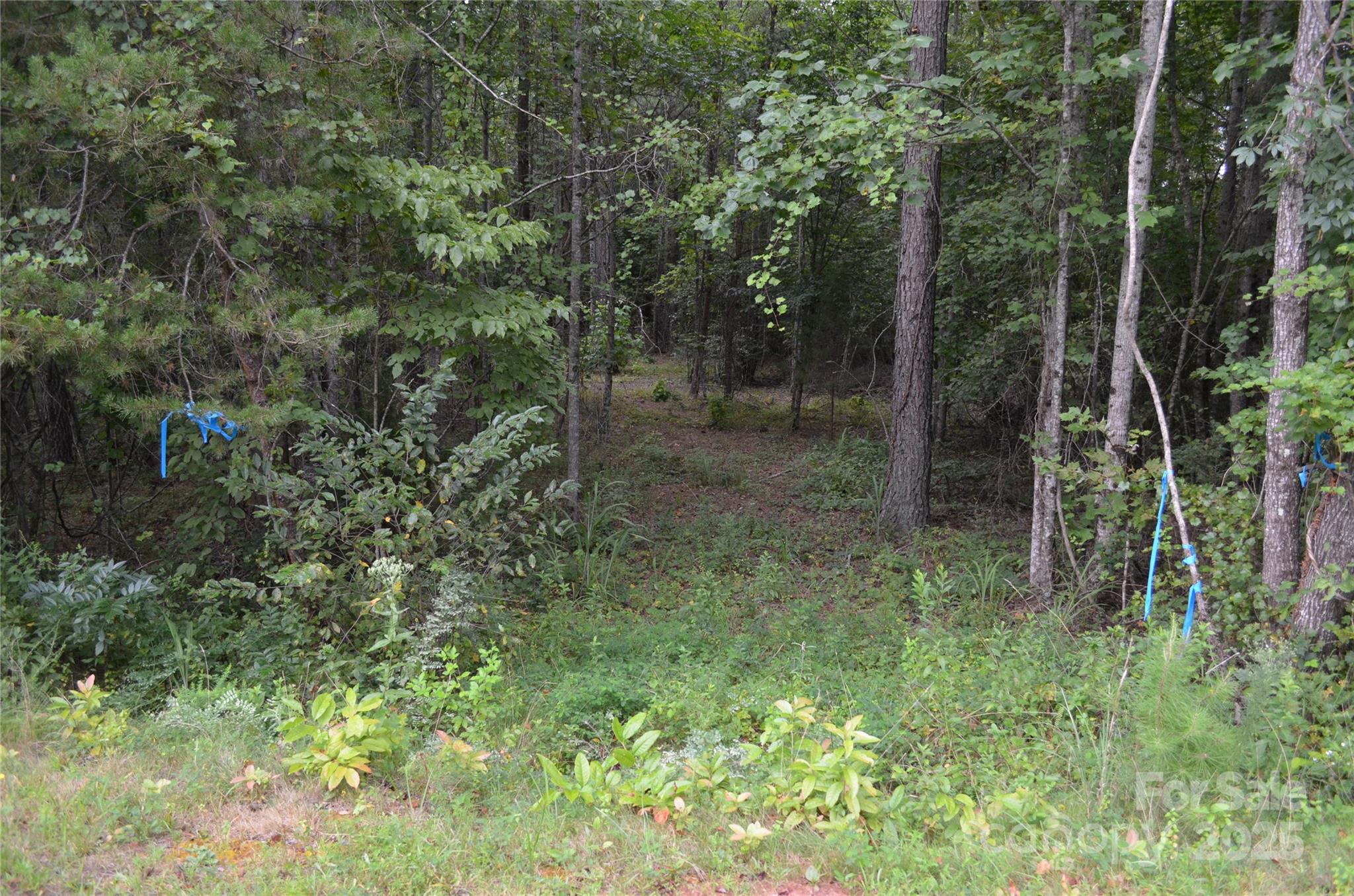 0 Old Morganton Road