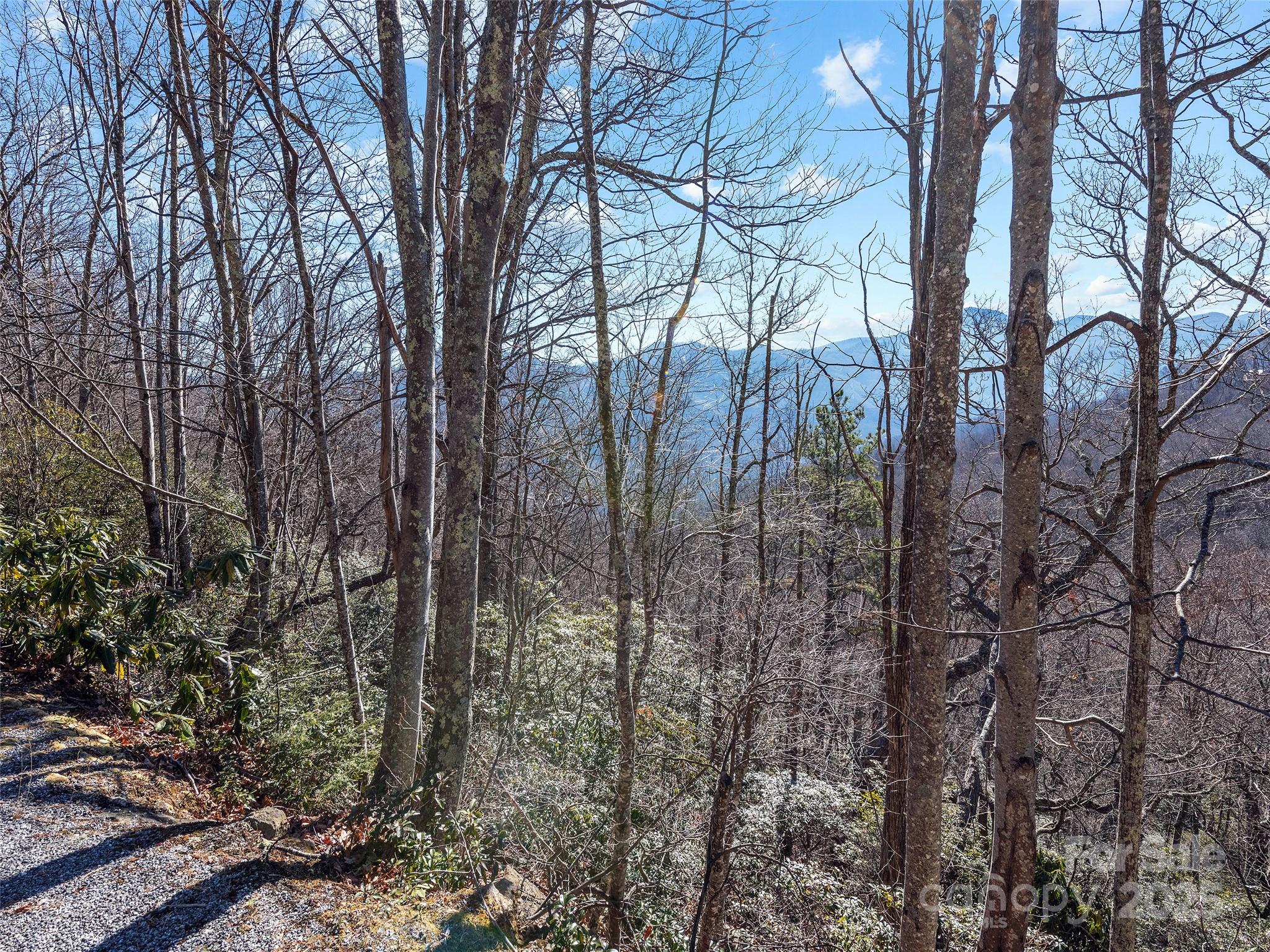 TBD Laurel Ridge Road