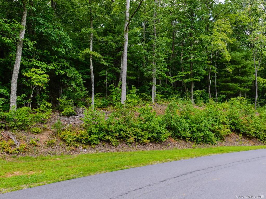 Bent Creek Preserve - Land