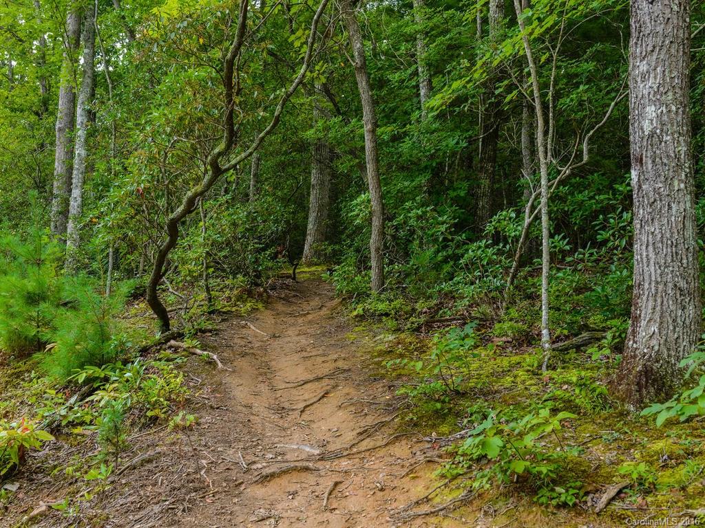 Bent Creek Preserve - Land