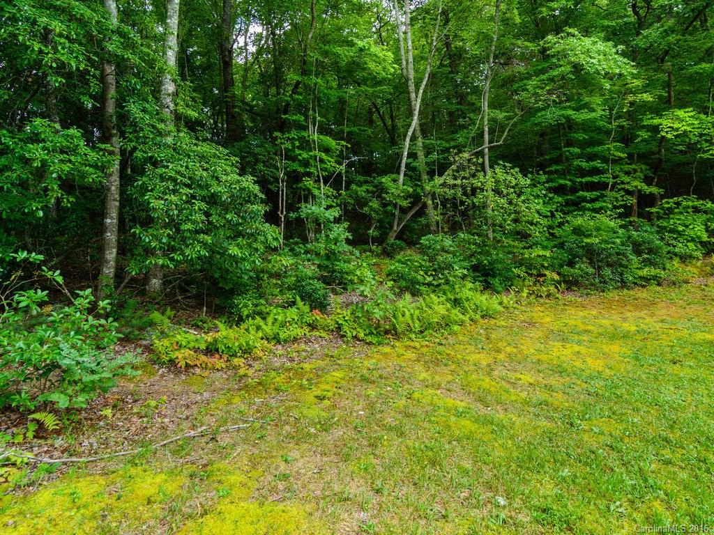 Bent Creek Preserve - Land