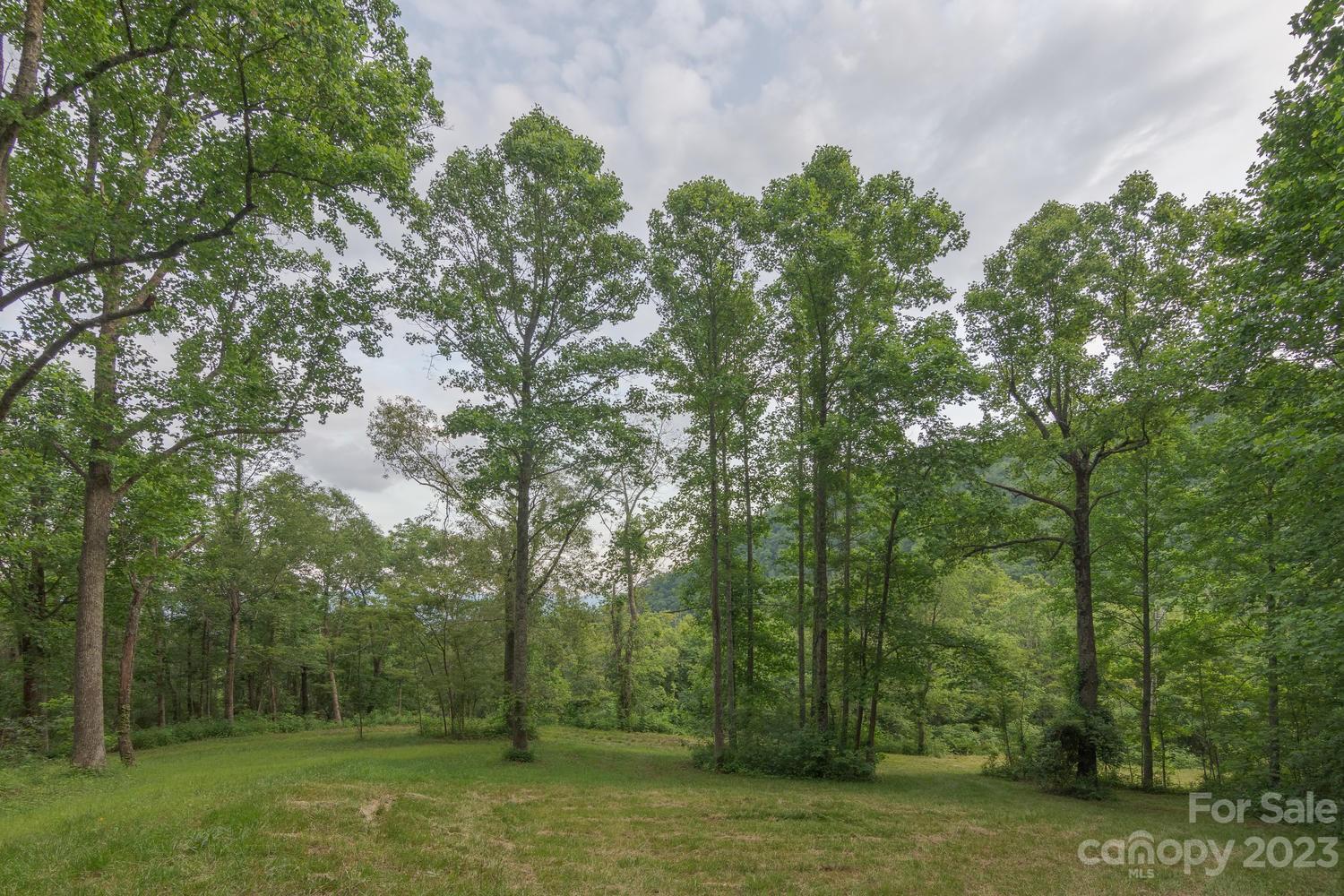 Elk Mountain Estates - Land