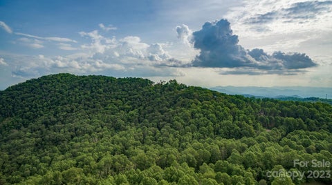 Photo for 1300 Elk Mountain Scenic Highway