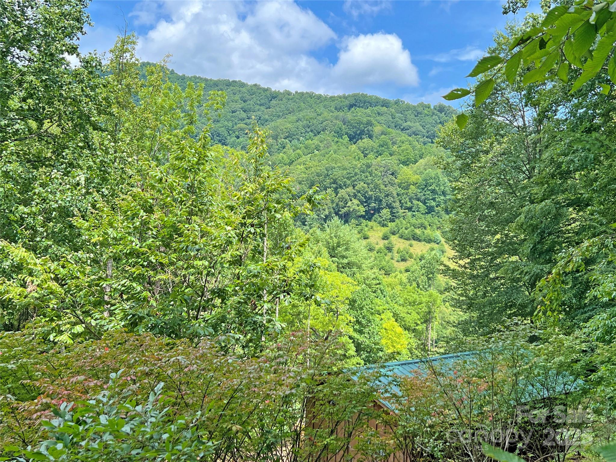 833 Sprinkle Branch Road