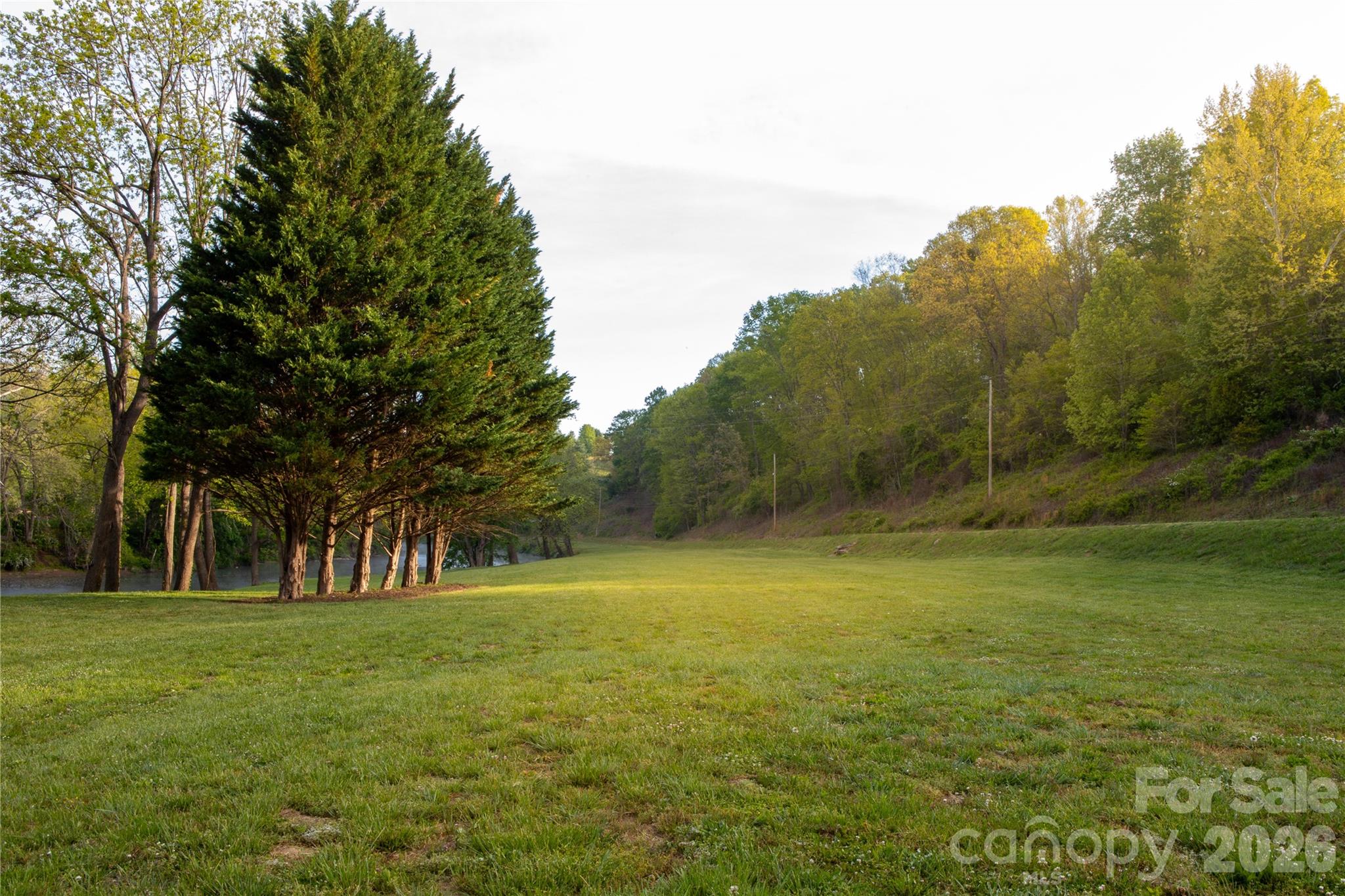 The Greens At Iron Tree - Residential