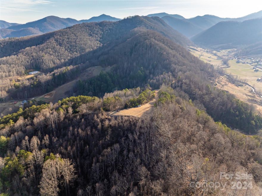 Unparalleled views atop a completely level mountaintop with easy access - 99 Greasy Cove Road offers the idyllic setting to build your dream primary residence or second home. Encompassing just over 7 acres, privacy abounds with endless, year-round views all while being just a short drive to the heart of vibrant downtown Asheville. The gentle driveway meanders to the top of the mountain with a completely level homesite already prepped and ready to take shape with your vision.